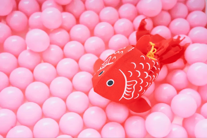 Do Goldfish Play With Toys
